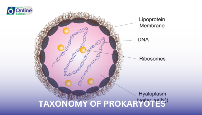 Lesson 01: Taxonomy of Prokaryotes